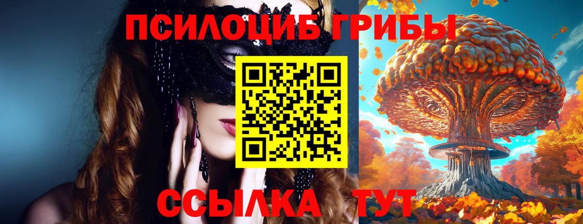 Псилоцибиновые грибы Psilocybe  Вход с VPN  Сарапул  Псилоцибиновые грибы Psilocybe 